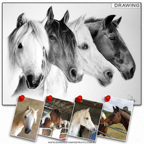 Realistic Detailed Custom Portrait Drawing Pet Horse