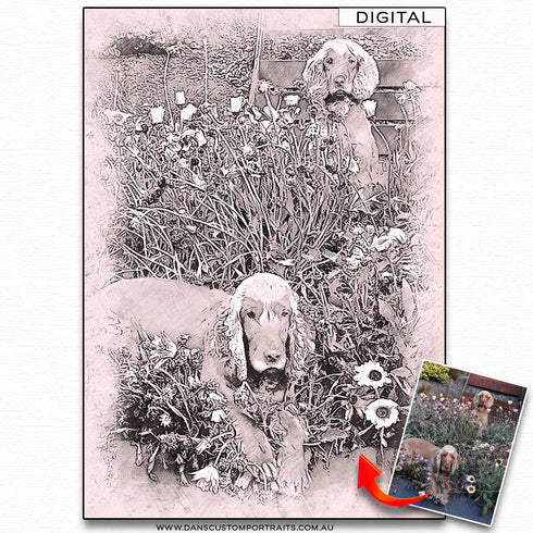 Digital Toned Sketch Portrait Pet Dogs Custom Portrait